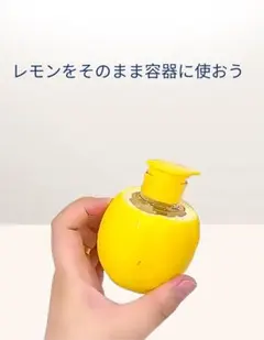 レモン絞り器2個セット(レモンに刺して使うタイプ)のサムネイル