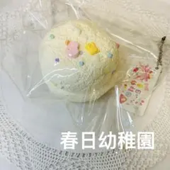 a_c様　専用