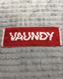 2026年最新】vaundy タオル レッドの人気アイテム - メルカリ