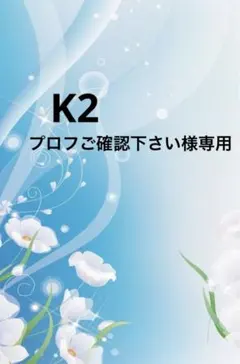 レディーストートバッグ　ハンドメイド