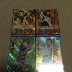 ハイキューバボカ烏野頂バボ１２枚セット