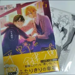 平野と鍵浦 5 公式同人誌付き 特装版