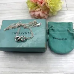 TIFFANY&Co.【極美品】インフィニティダブルチェーンネックレス925人気