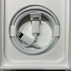 【新品・未使用】iPhone Apple ライトニングケーブル タイプC