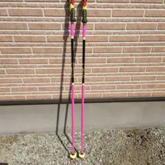 2026年最新】LEKI 長さ（cm）：115 〜 119.9cm スキー ストックの人気