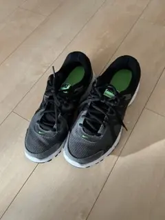 Item thumbnail for item a0addd0f-bba6-4245-ae94-fa3ea711e534