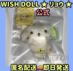NCTWISH POCKET WISH DOLL リョウ リョンリョン NCTWISH WISH DOLL リョウ リョンリョン - メルカリ