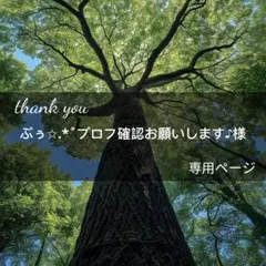 ぷぅ✩.*˚プロフ確認お願いします♪︎様専用ページ(9月11日までお取