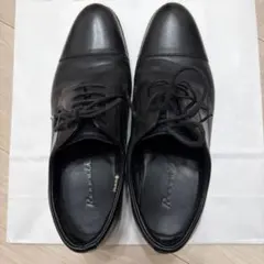 Item thumbnail for item dcd4717c-1446-45c3-9ff7-08c6580dc5a2