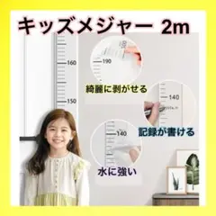 Item thumbnail for item b8f82ce6-b33d-4e07-93d2-1a4b28429126