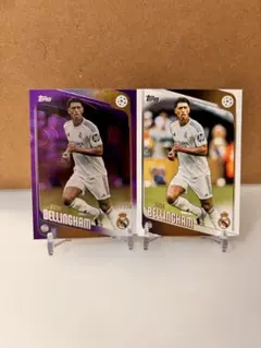 Item thumbnail for item 1306f934-1ee9-4964-aae4-58841dedcf23