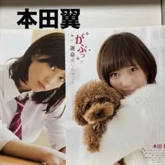 2025年最新】本田_翼の人気アイテム - メルカリ