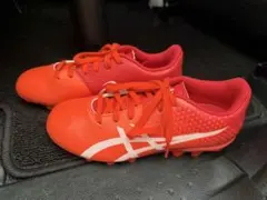 Item thumbnail for item 4bf95ae4-b1de-4666-9540-7b40b6a76a83