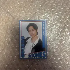 SixTONES THE VIBES トレカ　田中樹