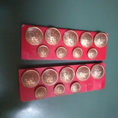 Item thumbnail for item 2d8c5f73-6a5d-4914-9232-0fc92f64201a