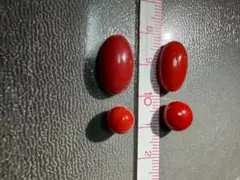 血赤サンゴ ルース