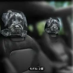 Item thumbnail for item 5d627a84-579c-4a12-ad2a-fb7977429858