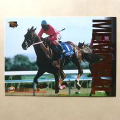 97下 競馬カード、サクラローレル