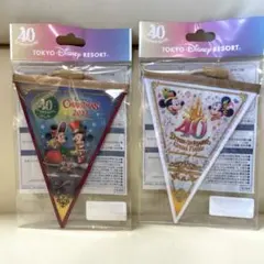 ディズニ リゾート 2023 40周年 ドリーム ガーランド 2点セット