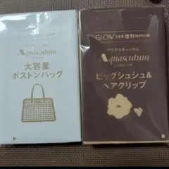 GLOW グロー 3月号 通常版＆増刊　付録セット