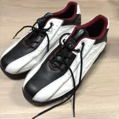 未使用　ミズノ ゴルフシューズ IMPERIAL 45KO-29291 26cmのサムネイル