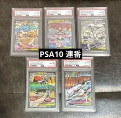 PSA10 5연번 MA PSA10연번 세트 메가 망나뇽 메갈 칼리오 등