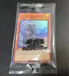 遊戯王】The Lady's Protectors 日本選手権 プロモ - メルカリ
