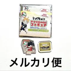 2025年最新】ゲンガ×タイカン アクリルの人気アイテム - メルカリ