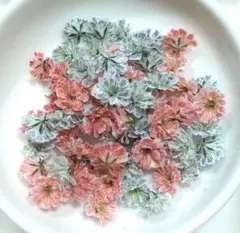 No,395☘️かすみ草のドライフラワー