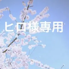 ヒロ様 リクエスト 2点 まとめ商品