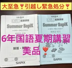 サピックス 国語テキスト デイリーサピックス 6年 5年生の先取り SAPIX