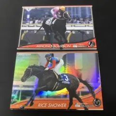 Owners Horse ライスシャワー Rice shower ミホノブルボン