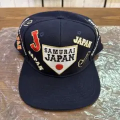 青森山田高校硬式野球部 練習用帽子 - メルカリ
