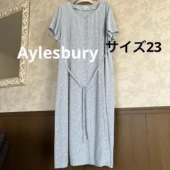 美品　大きいサイズ23 アリスバーリー　花柄ロングワンピースのサムネイル