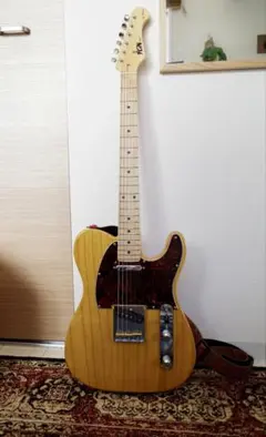 mad cat テレキャスター prince squier by fender - メルカリ