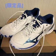 2026年最新】ミズノ ウエーブクロー バドミントンシューズの人気