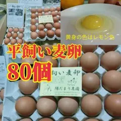ナマコの肝様専用 烏骨鶏の卵20個 まったり卵20個 同梱 - メルカリ
