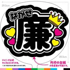 N-0441-11 ファンサうちわ コンサートうちわ 文字うちわ  名前文字