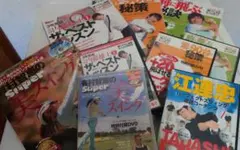 Item thumbnail for item 927275f9-f76a-4fba-bd51-6cd75f9beb3b