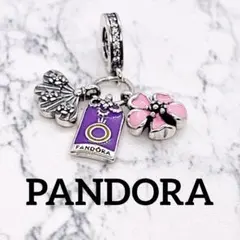 万博 ネパール館 PANDORA 風 チャームブレスレット ブレスレット 