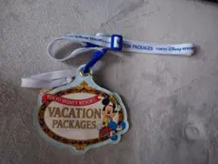 ディズニーランド　チケットホルダー