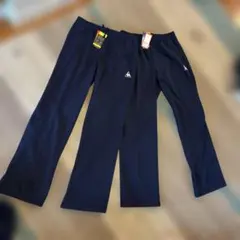 Item thumbnail for item d291b411-5973-4297-93b5-41b82448bcce