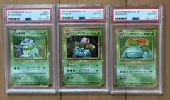 【PSA10連番】フシギダネ フシギソウ CLF CL クラシック PSA10連番】フシギダネ フシギソウ CLF CL クラシック - メルカリ