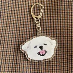 1点限定】マルチーズキーホルダー 犬 動物 2D イニシャル - メルカリ