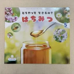 サンチャイルドビッグサイエンス　はちみつ