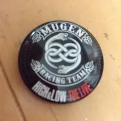 HIGH＆LOW THE LIVE MUGEN 缶バッジ
