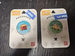 PUI PUI モルカー POCOPOCO チョコ シロモ 2個セット