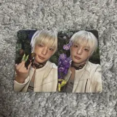 &TEAM HARUA Back to Life トレカ ソロジャケ