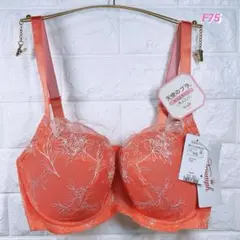 トリンプ　天使のブラスリムライン極上ライト　ブラジャー　F75