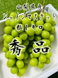 山梨県産　シャインマスカット